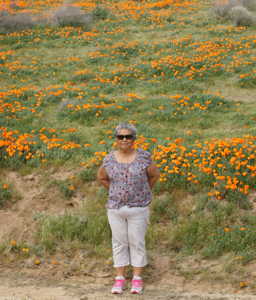 Gloria standing in a field of California poppies.