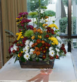 Phoenix Chrysanthemum Show 2014